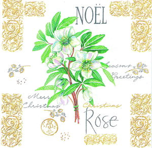 Ambiente ArGe NX}X y[p[ivL  20 y[p[ivL fRp[W z[p[eB[ k Dɂ ivL `TCY I_ y[p[ivLf