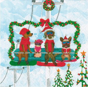 Caspari JXp y[p[ivL JNeTCY 25x25cm 20 fRp[W  e[uR[fBl[g ivL hCc   p[eB[ i bsO NX}X 