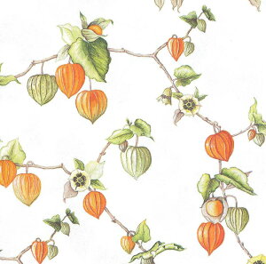 Ambiente ArGe y[p[ivL `TCY 33x33cm 20 fRp[W  e[uR[fBl[g ivL I_   p[eB[ i bsO  ~