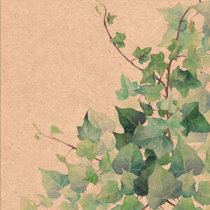 Ambiente �A���r�G���e �y�[�p�[�i�v�L�� �����`�T�C�Y 33x33cm 20���� ������� �e�[�u���R�[�f�B�l�[�g ���i�v�L�� �I�����_ ���� ������ �p�[�e�B�[ ���i�� ���ɗD���� �A�C�r�[ HEDERA NATURE