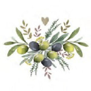 PPD �y�[�p�[�i�v�L�� �����`�T�C�Y 33x33cm 20���� �f�R�p�[�W�� ������� �e�[�u���R�[�f�B�l�[�g ���i�v�L�� �h�C�c ���� ������ �p�[�e�B�[ ���i�� ���b�s���O �I���[�u �n�[�u Olives and Her