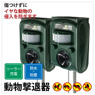 【ベストアンサー公式】2個セット 野良猫 撃退 猫よけ 猫除け 害獣 動物撃退器 超音波 グッズ センサー …