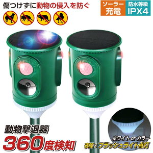 y360xL͈͊mzyxXgAT[z 2Zbg ǔL ފ L悯 L g ZT[ L悯΍   \[[ USB[d Qb 쏜 h zpl hH  悯  