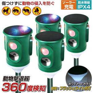 y360xL͈͊mzyxXgAT[z 4Zbg ǔL ފ L悯 L g ZT[ L悯΍   \[[ USB[d Qb 쏜 h zpl hH  悯  