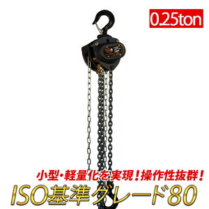 蓮`F[ubN 0.25t 0.25ton g2.5m O[h80 250kg y ^   VD o[zCXg i `F[ubN ג@ `F[zCXg `FubN ݂グ  ubN 