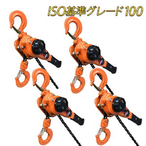 作業用品 レバーブロックの人気商品 通販 価格比較 価格 Com