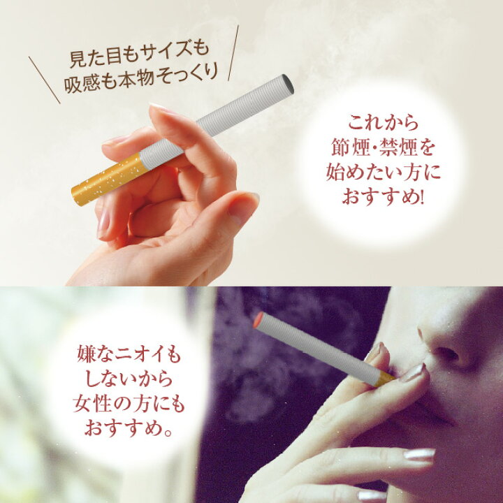 楽天市場 お手軽禁煙スティック2 使い捨て 使いきり タバコ風味 メンソール ベストアンサーの宝ショップ