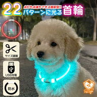 【P5倍 マラソン限定】光る 首輪 犬 レインボー ペット 夜 散歩 発光 点滅 USB 充電式 首輪 ライト led …