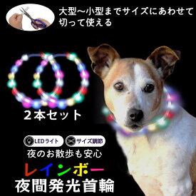 光る 首輪 led レインボー 2本セット ペット LEDライト 猫 USB充電式 35cm 50cm 夜間発光首輪 ペット用品 ドッググッズ 安全 長さ調節可能 散歩 夜 さんぽ ペット 安全 事故防止 首輪 ランニング 自転車 リード 点滅 点灯 猫 腕輪