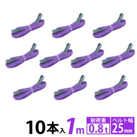 【10本セット】スリングベルト スリング 幅25mm 1m 10pcs 使用荷重 800kg 高品質 ナイロンスリングベルト ベルトスリング 繊維ベルト 吊ベルト 運搬ベルト 運搬スリング 吊具 長さ1m 警告線 吊りベルト 玉掛け クレーン 荷締 吊り上げ アイリング