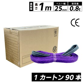スリングベルト ナイロン 長さ1m スリング 幅25mm 使用荷重800kg 1カートン 90本入り ケース ベルトスリング 繊維ベルト 工具 道具 運搬ベルト 運搬スリング 吊具 長さ1m 警告線 吊りベルト 玉掛け クレーン 荷締・牽引器具 吊り上げ アイリング