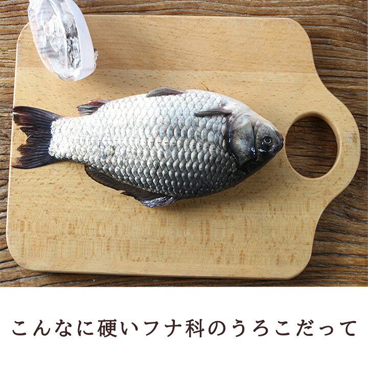 楽天市場 うろこ取り カバー付き 飛散防止 鱗取り 飛ばない ベスター本舗