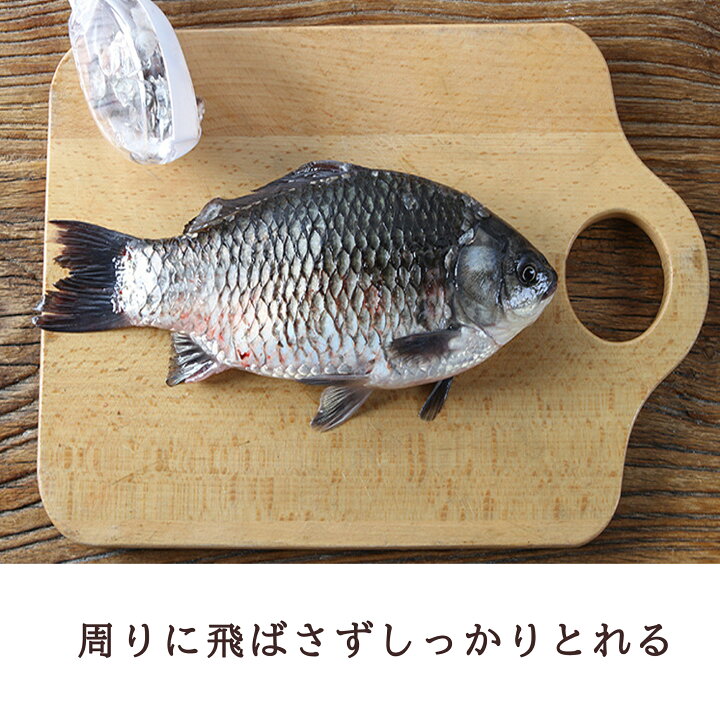 楽天市場 うろこ取り カバー付き 飛散防止 鱗取り 飛ばない ベスター本舗