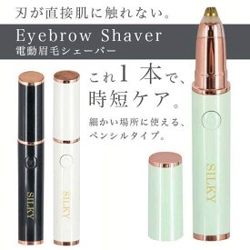 電動眉毛シェーバー コンパクト ペンタイプ 電池式 LEDライト付き
