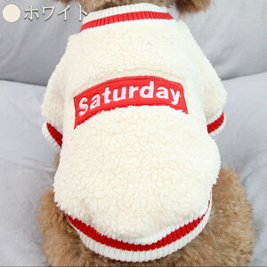 y撅100lN[|20offz  H~ hbOEFA  ӂӂ  vI[o[ ̕ m ^ ^ ̎q j̎q   _bNXth ` gC