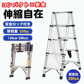 【先着100名様限定クーポン20％off】脚立 踏み台 9段 7段 6段 4段 はしご 伸縮 折りたたみはしご 伸縮 脚立 アルミ ステンレス鋼 伸縮脚立 耐荷重250kg 持ち運び便利 室内屋外両用 ステンレス鋼 自動 安全ロック付き大掃除 洗車台