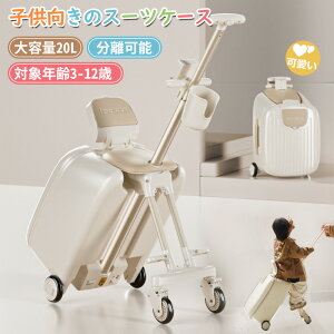 y撅100lN[|20offzyyV1ʁzLbYgxNEO qpL[obO X[cP[X e 20L É_uLX^[ s  AȂɕ֗ qp L[P[X 