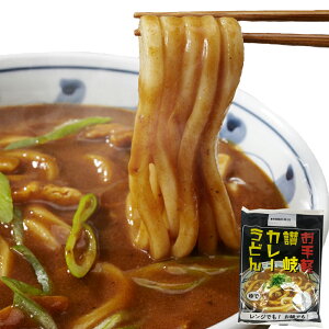【送料無料】辛すぎないスパイシーなカレーうどん4食(180g×4) 讃岐うどん スープ 付け 香川 小麦 簡単 調理 電子レンジ お取り寄せ お試し 食品 長期保存 仕送り 非常用 防災 備蓄 ポスト投函