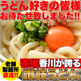 【送料無料】讃岐うどん6食分（300g×2袋）鎌田醤油特製ダシ醤油6袋付き なまうどん!! ゆうパケット出荷 老舗製麺所直送 人気 激安 香川 老舗 食べ物 生麵 セット 常温 お中元 内祝い 退職祝い おすすめ