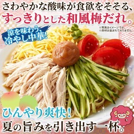 【送料無料】夏 限定 冷やし中華 うめねぇちゃん 5食セット スープ付き 梅の爽やかな酸味が食欲をそそる 讃岐 本格 生麺 細麺 美味しい冷やし 冷麺 常温 お買い得 国産小麦 お試し取り寄せ メール便