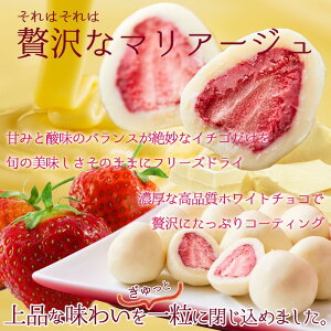 y~Gzi ґ܂邲  zCg`R 250g(25) p t[YhC C`S `R[g Z VN   َq XC[c ֗ e v[g Mtg 