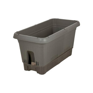 y |Cg5{ 11/1(y)00:00`11/1(y)23:59܂ zv^[ v^[ 650^ | LX^[t 󂯎Mt LX^[ 󂯎M  Aؔ |bg vX`bN ` y [^  