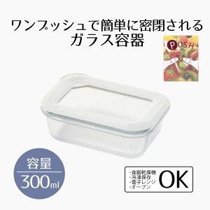 ۑe ϔMKX KX Wt 300 ϔMKXۑe ` New Style 300ml xXgR | KX W t^t W  p^ Ⓚ ̂܂ H O^M H Lb`