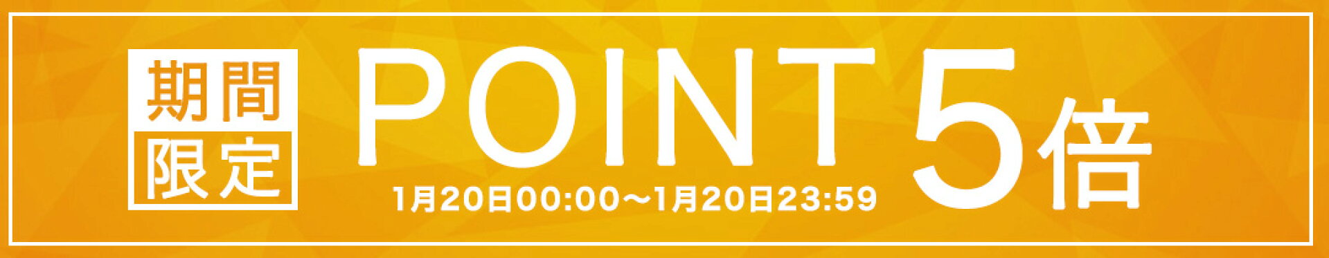 ポイント5倍