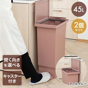 【 エントリーでポイント最大5倍 10/24(金)20:00〜10/27(月)9:59まで 】ゴミ箱 45リットル ふた付き おしゃれ 2個セット フタの向きを選べる横開き | ペダル ペール ごみばこ 蓋付きゴミ箱 ダストボ