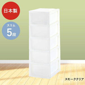 j[CtX [{bNX 5i LX^[t O[p | [ {bNX `FXg m^X o P[X m[P[X [box [{bNX5i [P[X ߑP[X 