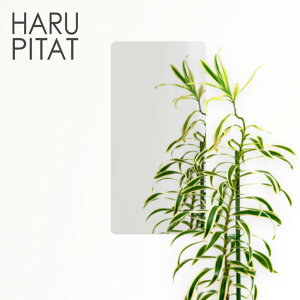 y Gg[Ń|Cgő10{ 11/16()00:00`11/16()23:59܂ zj[͂҂ 430×210mm |  V[ RpNg  tB mt[ Z[teB~[ tFNX~[ hƃ~