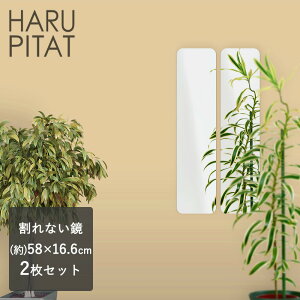 y |Cg5{ 11/1(y)00:00`11/1(y)23:59܂ zj[͂҂ 58cm×16.5cm 2g | V[ RpNg tB Z[teB~[ tFNX~[ hƃ~[  y V[g EH[~