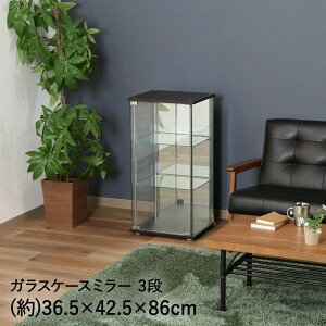 KX RNVP[X 3i wʃ~[ 42.5cm sf | KXRNVP[X RNV{[h KXV[P[X [^Cv c^ [ fBXvCP[X fBXvC 