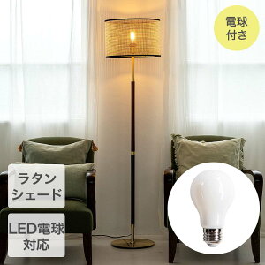 �y �|�C���g20�{ 2/25(��)00:00�`2/25(��)23:59�܂� �z TIC �t���A���C�g 1���^�C�v LED�d���N���A�t�� ���� �Ɩ���� TC-1055-60C-BR �o���j�[�Y | �t���A ���C�g �����v �Ɩ� ������ LED�d���t�� �{�� 1�� 