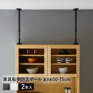 y Gg[Ń|Cg5{ 9/4()20:00`9/11()1:59܂ z Ƌ]|h~|[ 50-75cm h UEQ-50 LH | Ƌ]|h~ ˂_ Lk_ nk  ]|h~ hЗpi ЊQObY 