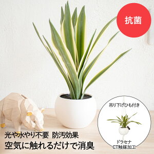 _|Cg10{^ L A[eBtBVO[ hZi KH-61264 GNA KISHIMA | ϗtA tFCN lHϗtA R hL L  CeAO[  v[g Mtg 