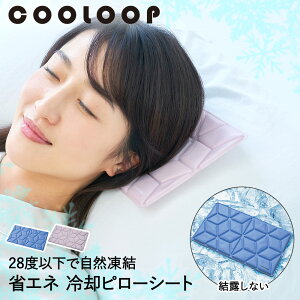 y Gg[Ń|Cg5{ 9/4()20:00`9/11()1:59܂ z ACX X ACX s[V[g pObY COOLOOP RWbg | ACXs[   ΍ Mі ΍ObY MǑ΍  