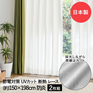 y Gg[Ń|Cgő19{ 12/10()00:00`12/11()01:59܂ zfM [XJ[e 3w҂ 150×198cm h { RWbg | [X J[e 2g hH UVJbg O Ց 