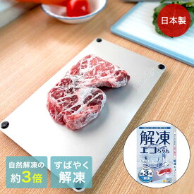 スピード 解凍プレート 解凍エコちゃん 日本製 | 解凍 冷凍食品 アルミ製 肉 魚 お鍋 節電 省エネ 電気ガス不要 熱冷まし お弁当 粗熱 牛肉 粗熱とり 粗熱取りプレート 冷ます プレート キッチン 時短 便利グッズ 食品解凍 刺身 刺し身 急速解凍 自然解凍 解凍ツール エコ