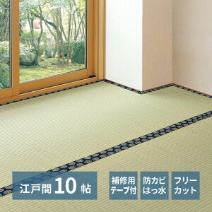 y |Cg5{ 9/15()00:00`9/15()23:59܂ z Ce[vt t[Jbg t  J[ybg ݂ ]ˊ 10 352×440cm  | ~10  COT  hL RJr a o