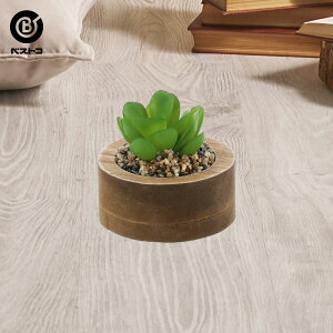 ミニ 観葉植物 セットの人気商品 通販 価格比較 価格 Com