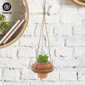 楽天市場 ハンギング 多肉の通販