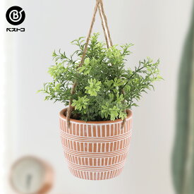 楽天市場 観葉植物 吊るすの通販