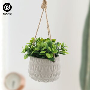 ハンギング 鉢 観葉植物の人気商品 通販 価格比較 価格 Com