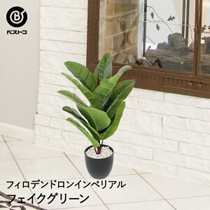 玄関 植木 おしゃれの人気商品 通販 価格比較 価格 Com 玄関 植木 おしゃれの人気商品 通販 価格比較 価格 Com