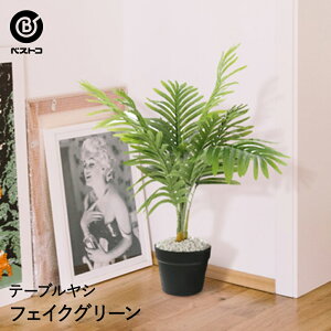 玄関 植木 おしゃれの人気商品 通販 価格比較 価格 Com 玄関 植木 おしゃれの人気商品 通販 価格比較 価格 Com
