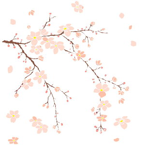 EH[XebJ[ k ̉ c[ ͂  ǃEH[XebJ[ ǃV[ EH[XebJ[ t  A K[fjO ǎ  Q Lb` gC Ǐ 