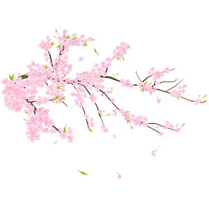 EH[XebJ[ k c[ ǃEH[XebJ[ ǃV[ EH[XebJ[ ̉ t  A K[fjO ǎ  Q Lb` gC ͂  Ǐ 