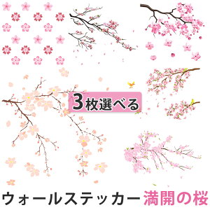 y3ZbgzEH[XebJ[ k c[ J̍ ̉ ǃEH[XebJ[ ǃV[ EH[XebJ[ t   A K[fjO ǎ  Q Lb` gC ͂ 