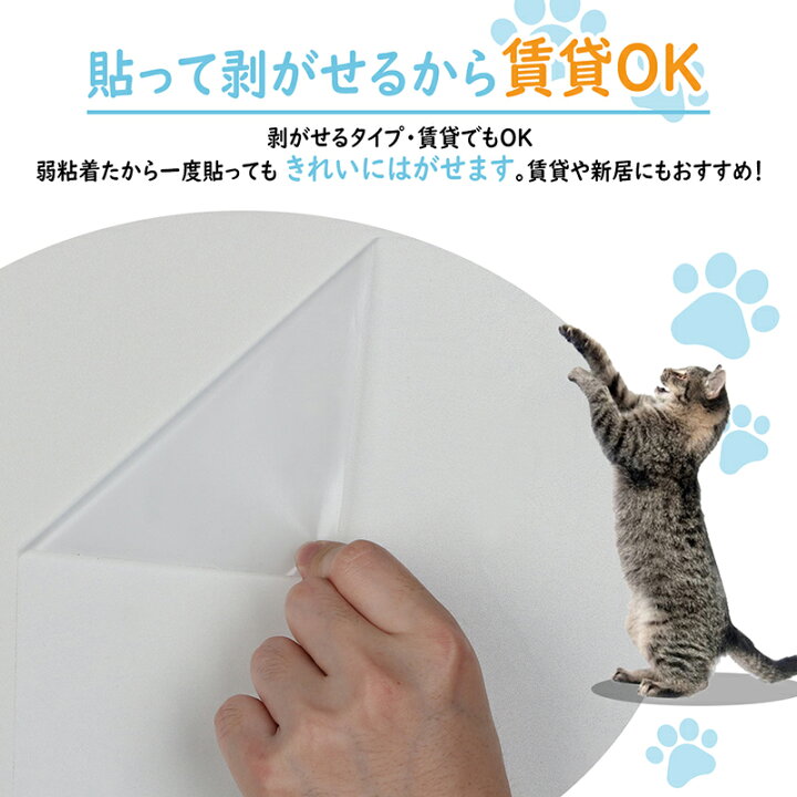 楽天市場 楽天1位受賞 壁紙 保護シート 透明 貼ってはがせる 猫 爪研ぎ防止シート 3ｍ 大判サイズ 引っ越し賃貸入居 新居 汚れ 落書き 防止 中粘着 剥がせる ねこ 爪とぎ ペット ひっかき 落書き壁 家具 柱 机 ドアなどの傷 汚れ防止 Thebestday楽天市場店